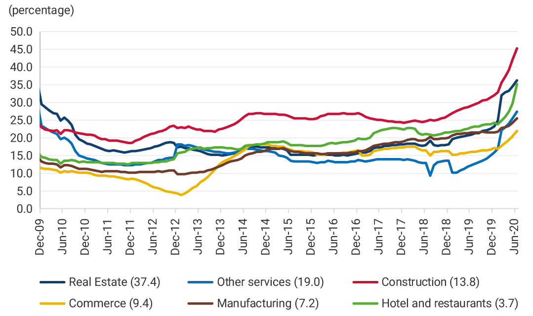 This first panel shows the economic sectors with the highest percentages of business destruction between December 2009 and June 2020: real estate (37.4% in June 2020), other services (19.0% in June 2020), construction (13.8% in June 2020), commerce (9.4% in June 2020), manufacturing (7.2% in June 2020), and hotels and restaurants (3.7% in June 2020). In the case of construction, its business destruction rate grew 16.2 percentage points as of June 2020, registering its highest level. Regarding the real estate sector, its destruction increased during 2019, but decreased during 2020. The real estate and hotels and restaurants sectors stand out, showing historical destruction rates of 36.0% and 35.0%, respectively.