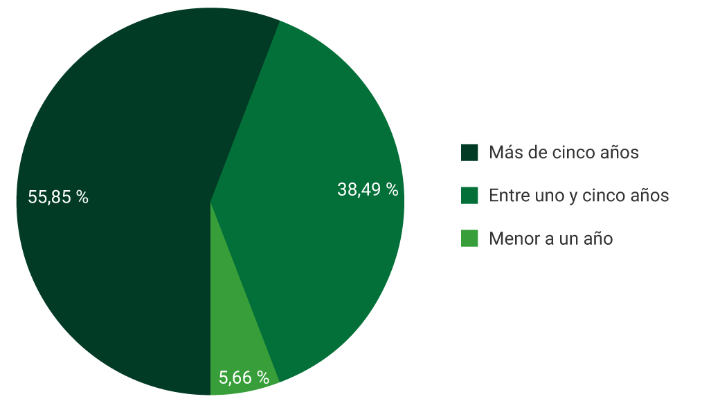 Menor a un año: 5,66%. Entre uno y cinco años: 38,49,%. Más de cinco años: 55,85%. 
