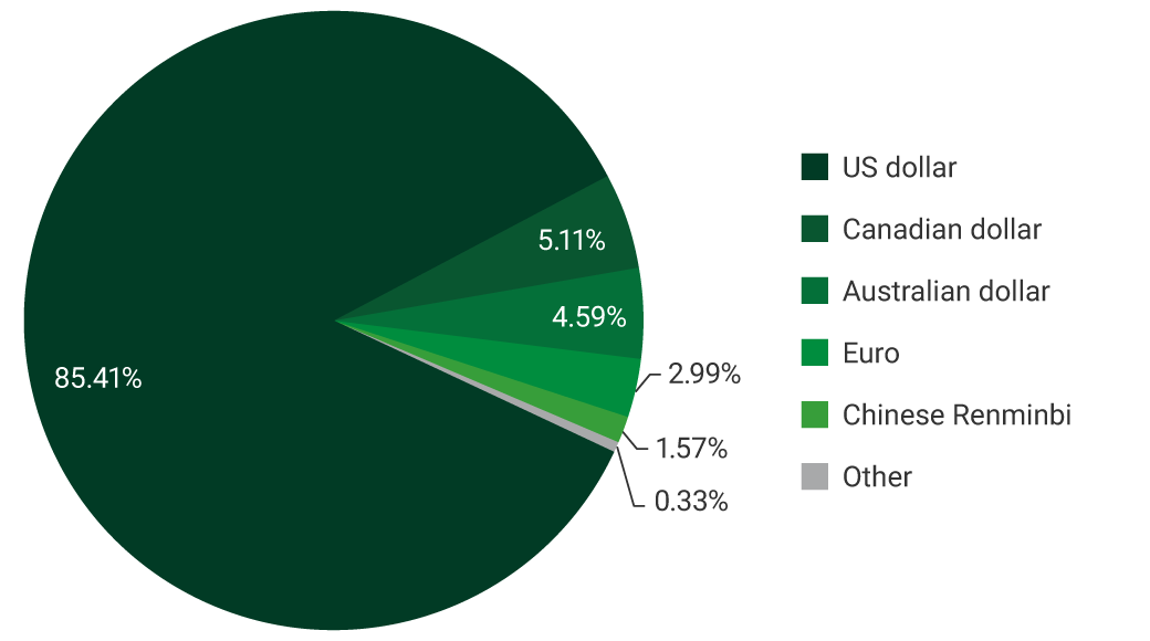 US dollar: 85.41%. Canadian dollar: 5.11%. Australian dollar: 4.59%. Euro: 2.99%. Chinese Renminbi: 1.57%. Other: 0.33%.