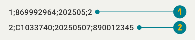 Imagen de ejemplo de la estructura del archivo Formato tipo 5, Titularización de créditos o contratos de leasing habitacional.
