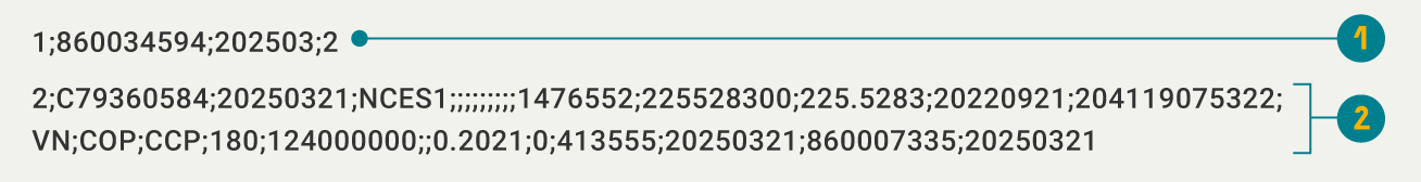 Imagen de ejemplo de la estructura del archivo Formato tipo 6, Novedad actualización de información.
