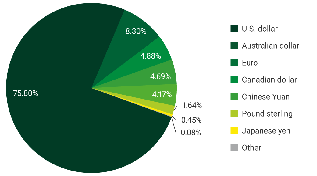 Pie chart showing the Foreign exchange composition of the investment portfolio. U.S. dollar: 75.80%. Australian dollar: 8.30%. Euro: 4.88%. Canadian dollar: 4.69%. Chinese Yuan: 4.17%. Pound sterling: 1.64%. Japanese yen: 0,45%. Other: 0,08%.