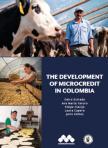 The Development of Microcredit in Colombia - book cover