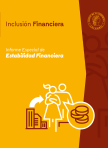 Special Financial Stability Reports cover