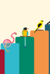 Regional Economic Bulletin image with a representative bird for each region