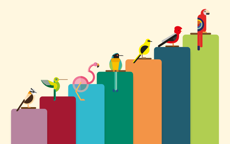 Regional Economic Bulletin image with a representative bird for each region